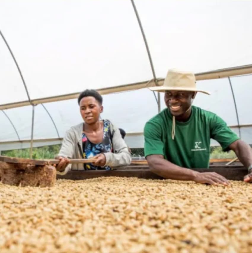 Uganda Kapchorwa Mt.Elgon BlackHoney（ ウガンダ カプチョルワ マウント エルゴン ブラックハニー ）100g 【受注焙煎・自家焙煎コーヒー豆】【ほろ苦さのキレと甘味のバランス】