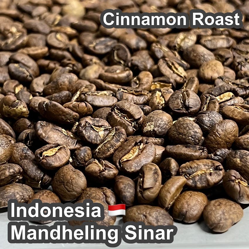 Indonesia Mandheling Sinar（インドネシア マンデリン シナール)100g【受注焙煎・自家焙煎コーヒー豆】【酸味を抑えた力強いコク】