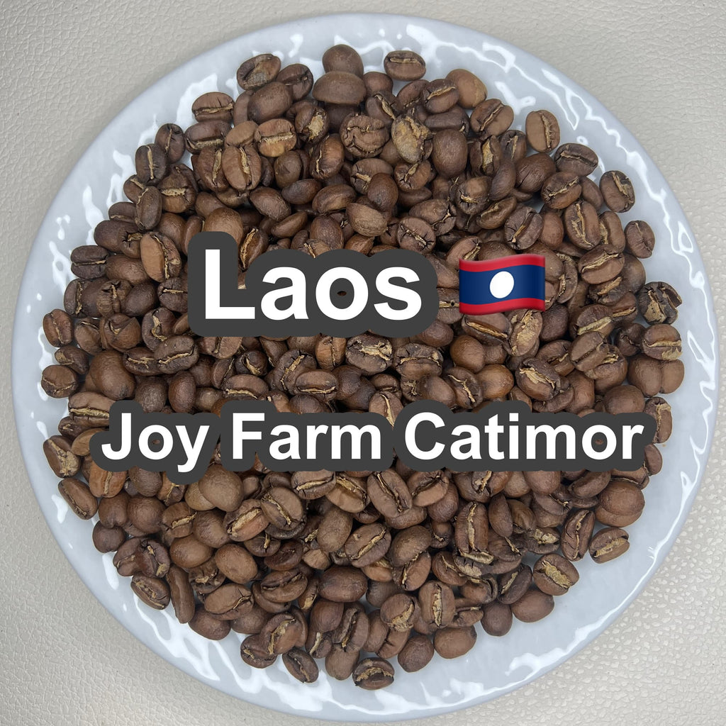 Laos Joy Farm Catimor（ラオス ジョイ農園 カティモール）100g【受注焙煎・自家焙煎コーヒー豆】【甘みと酸味のバランスが良い】