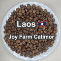 Laos Joy Farm Catimor（ラオス ジョイ農園 カティモール）100g【受注焙煎・自家焙煎コーヒー豆】【甘みと酸味のバランスが良い】