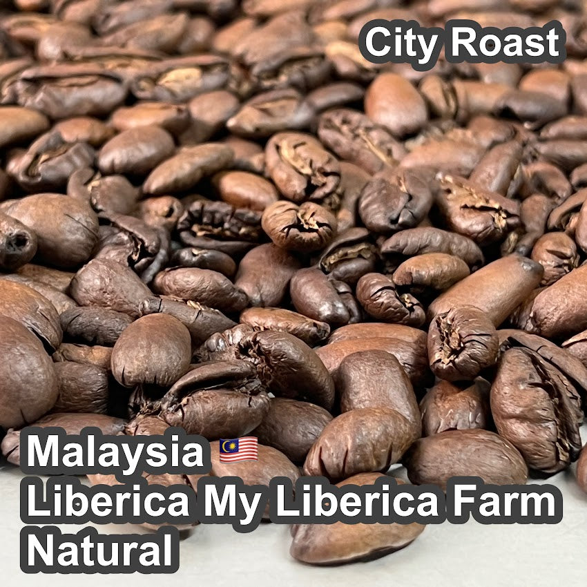 Malaysia Liberica My Liberica Farm Natural（マレーシア リベリカ マイリベリカ農園 ナチュラル）100g【受注焙煎・自家焙煎コーヒー豆】【独特な風味でスパイシーな苦味】【希少なリベリカ種】