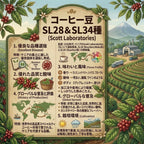 Kenya AA（ケニア ＡＡ）100g【受注焙煎・自家焙煎コーヒー豆】【香り高いコクとフルーティーな酸味】