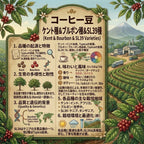 Tanzania Ngorongoro AA ++（タンザニア ンゴロンゴロ AA ++）100g【受注焙煎・自家焙煎コーヒー豆】【豊かなコクと爽やかな酸味】