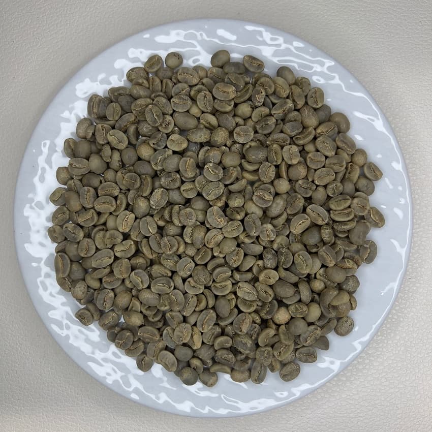 Tanzania Kilimanjaro AA（タンザニア キリマンジャロ AA）100g【受注焙煎・自家焙煎コーヒー豆】【力強さと華やかさ】