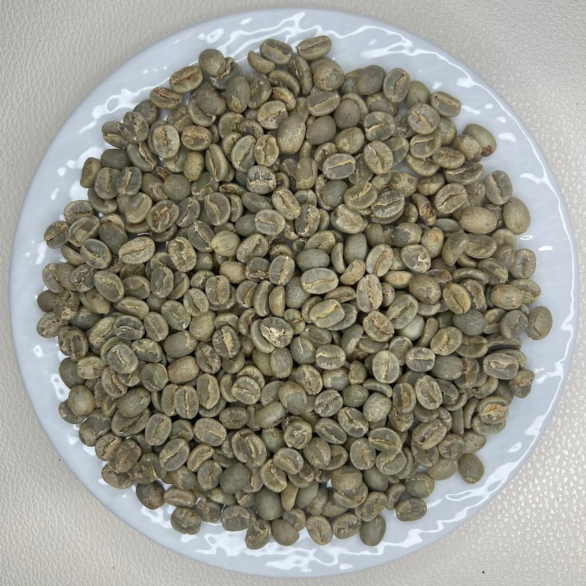 Tanzania Ngorongoro Congoni Farm Agarwal Family Wash AA（ タンザニア ンゴロンゴロ コンゴニ農園 アガワルファミリー ウォッシュ AA）100g 【受注焙煎・自家焙煎コーヒー豆】【ダークチョコレートのような甘味とほろ苦さ】