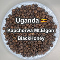 Uganda Kapchorwa Mt.Elgon BlackHoney（ ウガンダ カプチョルワ マウント エルゴン ブラックハニー ）100g 【受注焙煎・自家焙煎コーヒー豆】【ほろ苦さのキレと甘味のバランス】