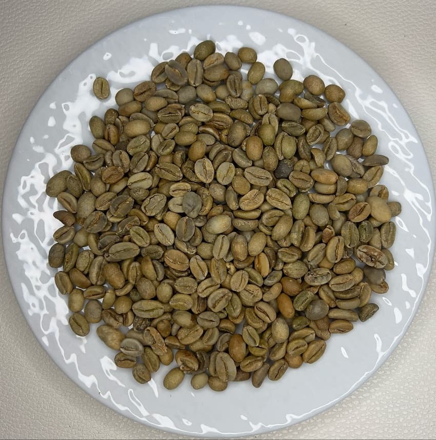 Yemen Mattari No.9（イエメン マタリ No.9）100g 【受注焙煎・自家焙煎コーヒー豆】【フルーティーで独特な酸味】