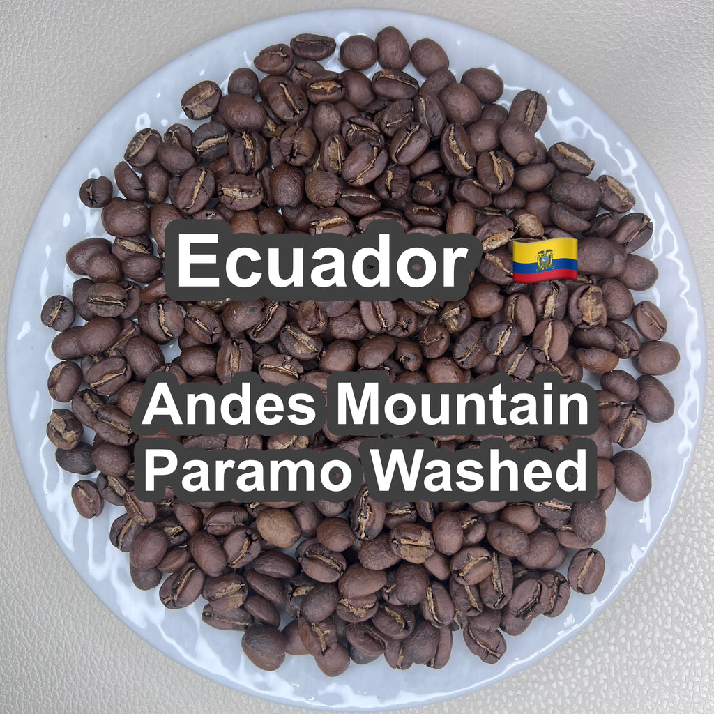Ecuador Andes Mountain Paramo Washed（エクアドル アンデスマウンテン パラモ ウォッシュド）100g【受注焙煎・自家焙煎コーヒー豆】【酸味と苦味のバランスが完璧】
