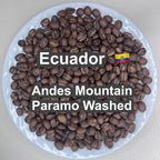 Ecuador Andes Mountain Paramo Washed（エクアドル アンデスマウンテン パラモ ウォッシュド）100g【受注焙煎・自家焙煎コーヒー豆】【酸味と苦味のバランスが完璧】