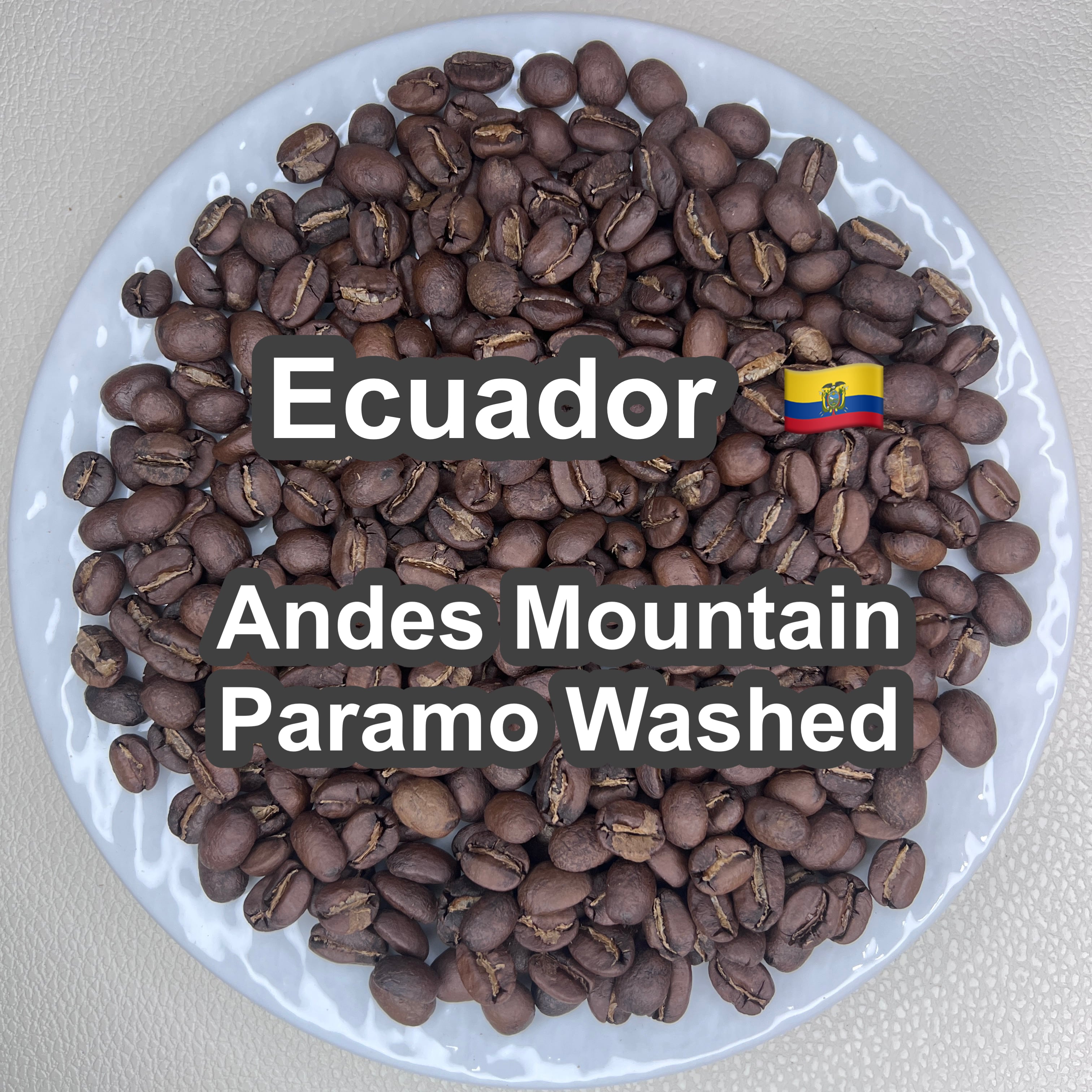 Ecuador Andes Mountain Paramo Washed（エクアドル アンデスマウンテン パラモ ウォッシュド）100g【受注焙煎・自家焙煎コーヒー豆】【酸味と苦味のバランスが完璧】