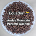 Ecuador Andes Mountain Paramo Washed（エクアドル アンデスマウンテン パラモ ウォッシュド）100g【受注焙煎・自家焙煎コーヒー豆】【酸味と苦味のバランスが完璧】