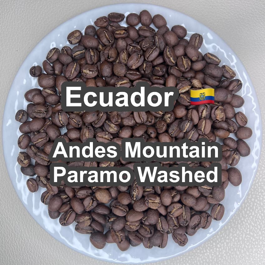 Ecuador Andes Mountain Paramo Washed（エクアドル アンデスマウンテン パラモ ウォッシュド）100g【受注焙煎・自家焙煎コーヒー豆】【酸味と苦味のバランスが完璧】