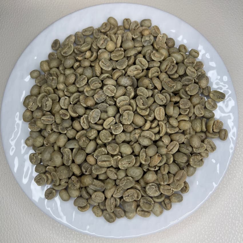 Honduras Santa Rosa HG（ホンジュラス サンタロサ HG）100g【受注焙煎・自家焙煎コーヒー豆】【甘い香りと爽やかな後味】