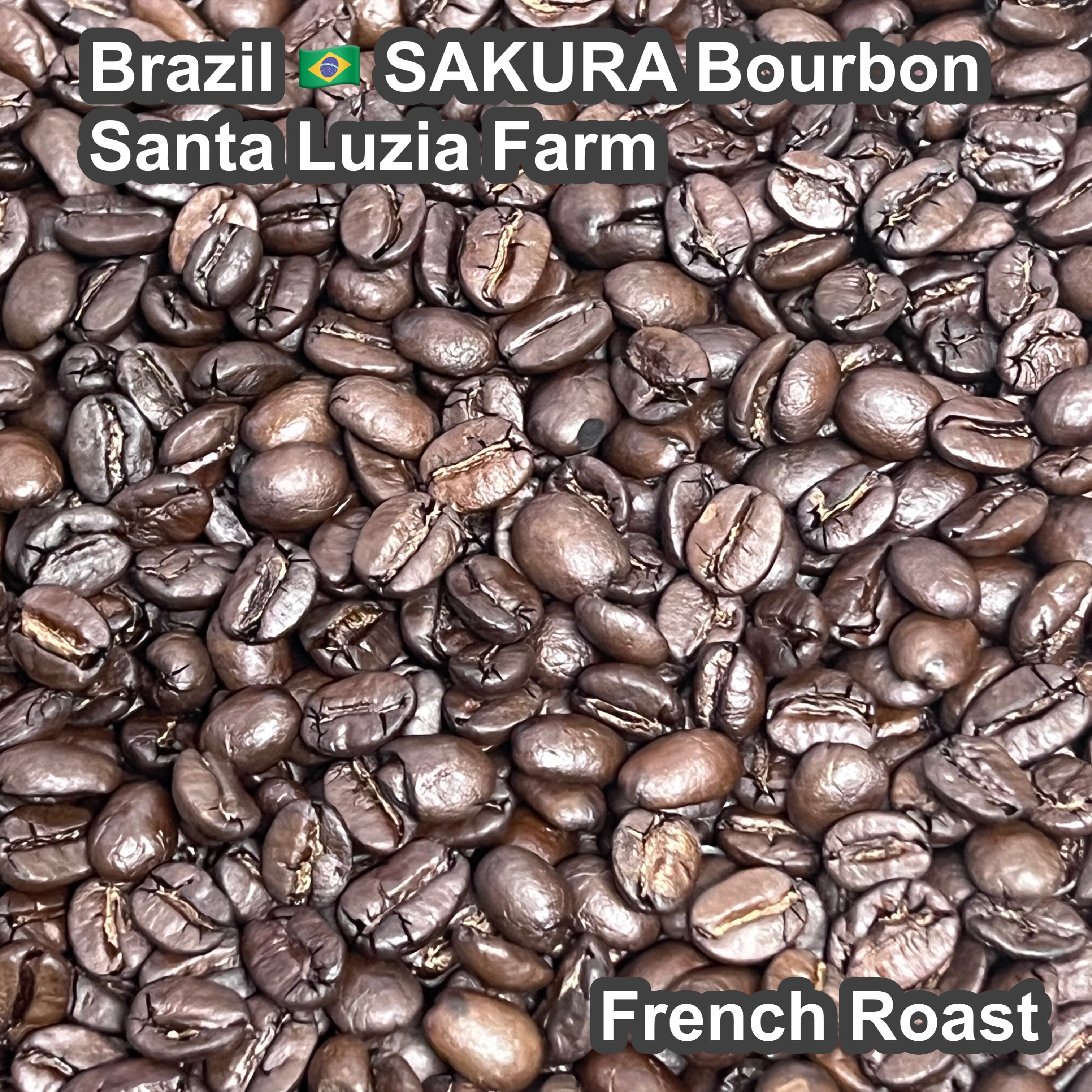 Brazil SAKURA Bourbon Santa Luzia Farm(2026年）（ブラジル さくらブルボン サンタルジア農園）100g【受注焙煎・自家焙煎コーヒー豆】【味や香りのバランスが良い】