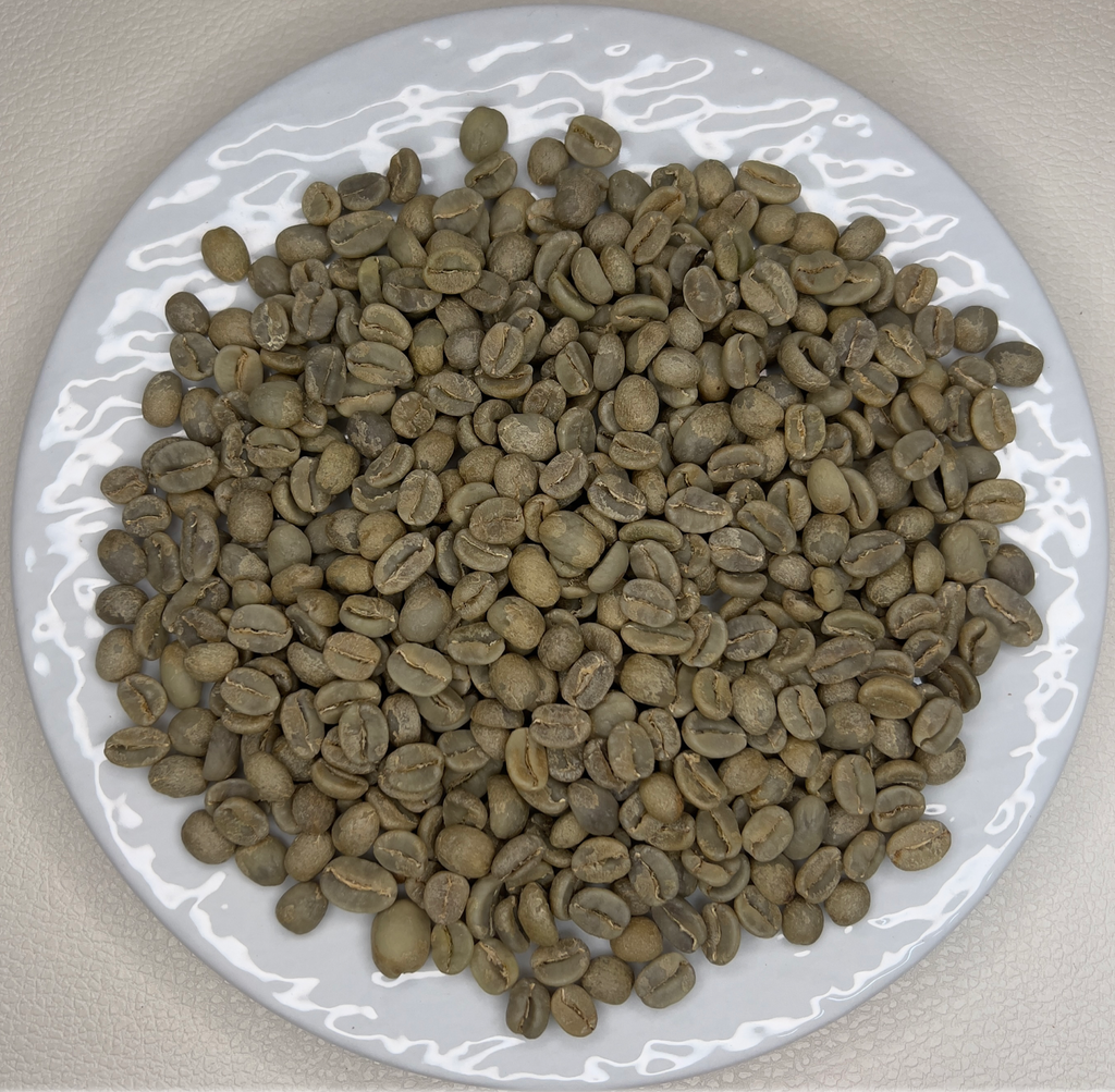 Costa Rica Jaguar Honey（コスタリカ ジャガー ハニー）100g【受注焙煎・自家焙煎コーヒー豆】【ベリーのような爽やかな酸味】
