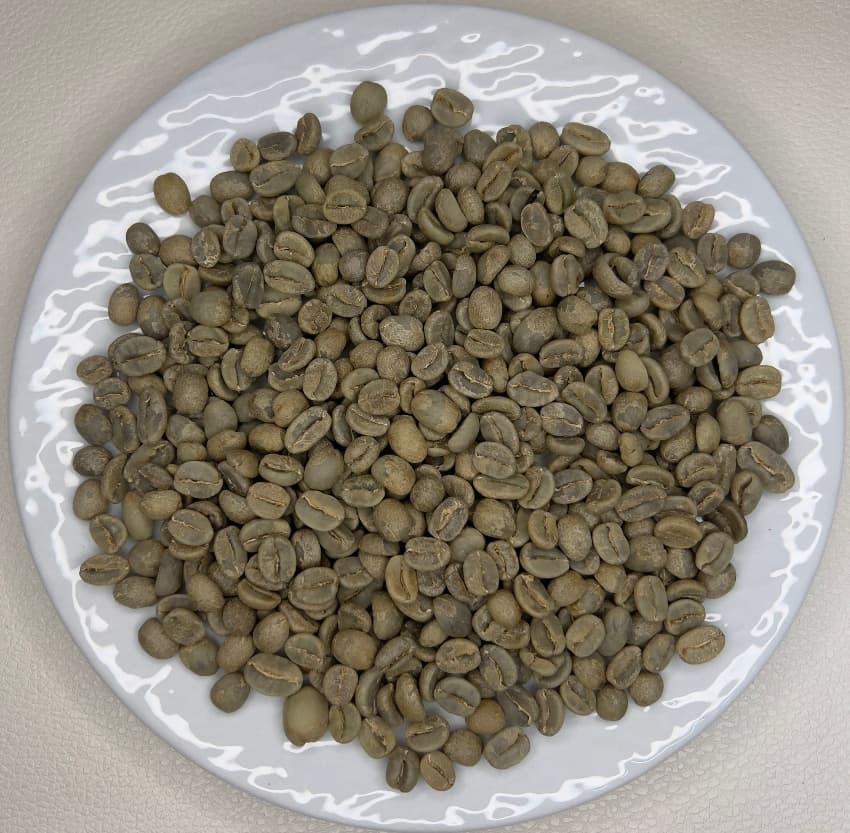 Costa Rica Jaguar Honey（コスタリカ ジャガー ハニー）100g【受注焙煎・自家焙煎コーヒー豆】【ベリーのような爽やかな酸味】