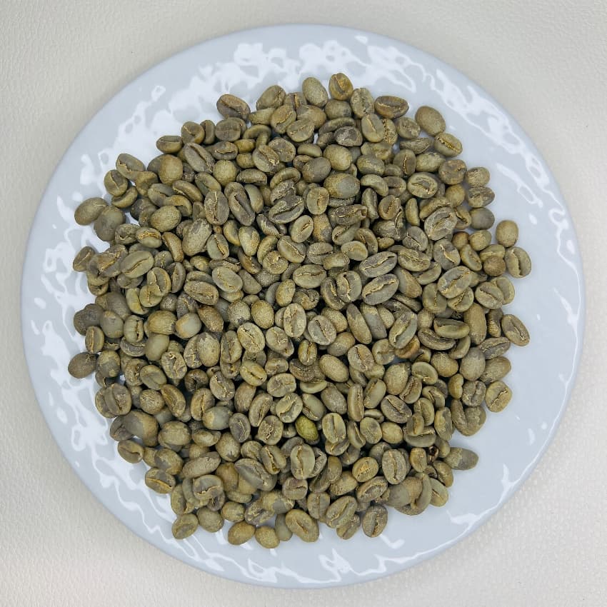 El Salvador SHG Finca Bella Vista（エルサルバドル SHG ベジャ・ビスタ農園）100g【受注焙煎・自家焙煎コーヒー豆】【マイルドな酸味とすっきり後味】