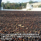 Guatemala Oriente Natural（グアテマラ オリエンテ ナチュラル）100g【受注焙煎・自家焙煎コーヒー豆】【爽やかな酸味と深いコク】