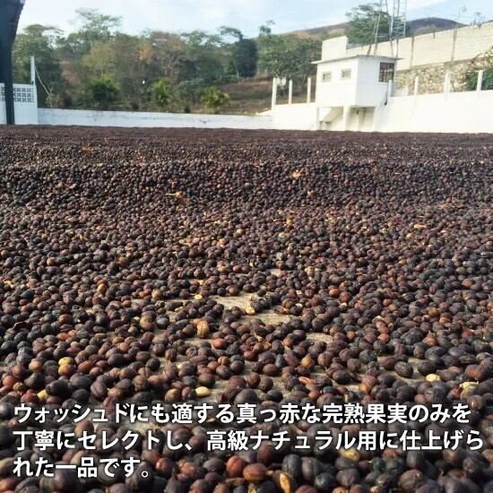 Guatemala Oriente Natural（グアテマラ オリエンテ ナチュラル）100g【受注焙煎・自家焙煎コーヒー豆】【爽やかな酸味と深いコク】