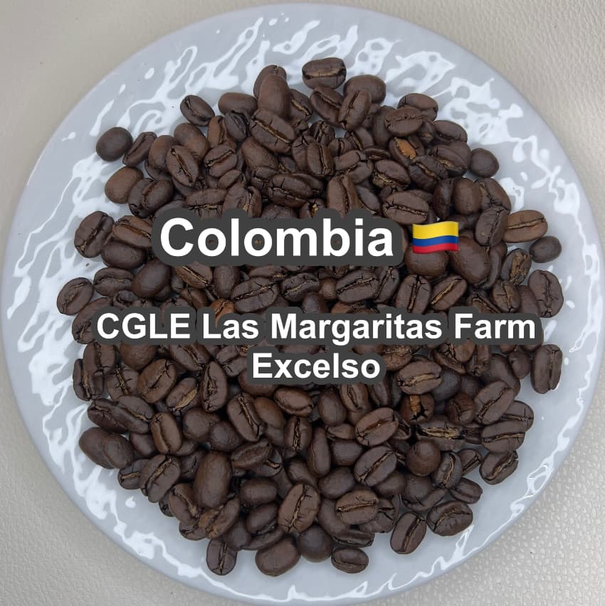 Colombia CGLE Las Margaritas Farm Excelso（コロンビア CGLE ラス・マルガリータス農園 エクセルソ）100g【受注焙煎・自家焙煎コーヒー豆】【苦味と酸味のバランス良い・イエローブルボン】