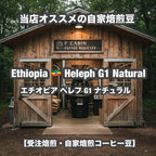Ethiopia Heleph G1 Natural（エチオピア へレフ G1 ナチュラル）100g【受注焙煎・自家焙煎コーヒー豆】【フルーティーな香りと酸味】