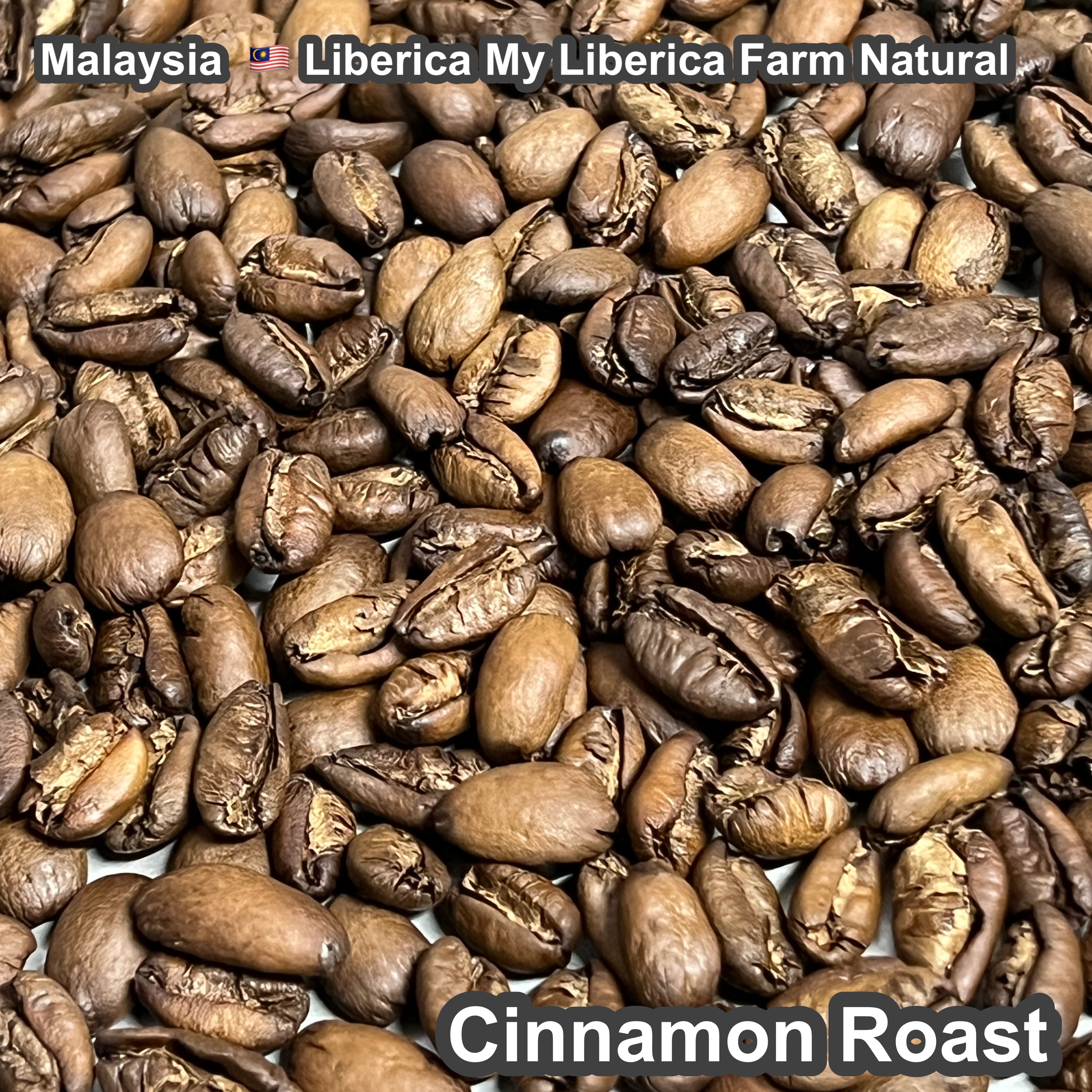 Malaysia Liberica My Liberica Farm Natural（マレーシア リベリカ マイリベリカ農園 ナチュラル）100g【受注焙煎・自家焙煎コーヒー豆】【独特な風味でスパイシーな苦味】【希少なリベリカ種】