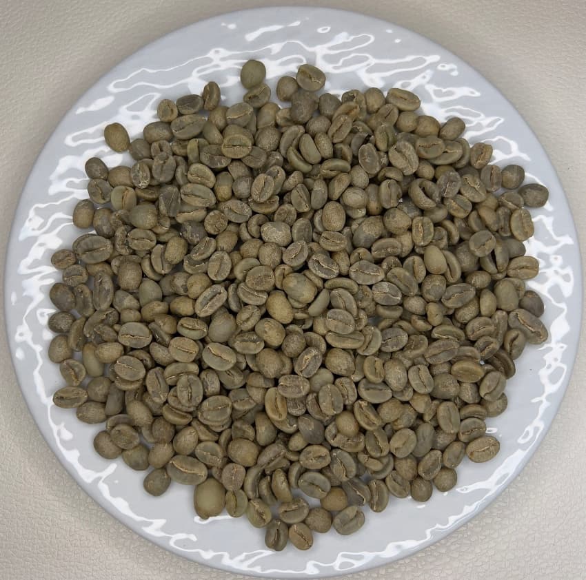 Brazil Micro lot Torres Bajas Farm No,2（ブラジル マイクロロット トレスバハス農園 No,2）100g【受注焙煎・自家焙煎コーヒー豆】【味や香りのバランスが良い・イエローブルボン】