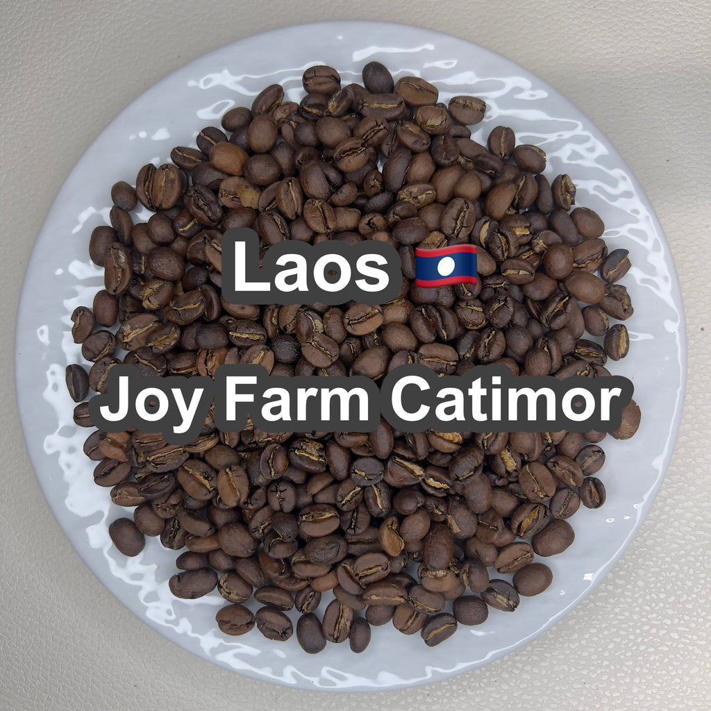 Laos Joy Farm Catimor（ラオス ジョイ農園 カティモール）100g【受注焙煎・自家焙煎コーヒー豆】【甘みと酸味のバランスが良い】