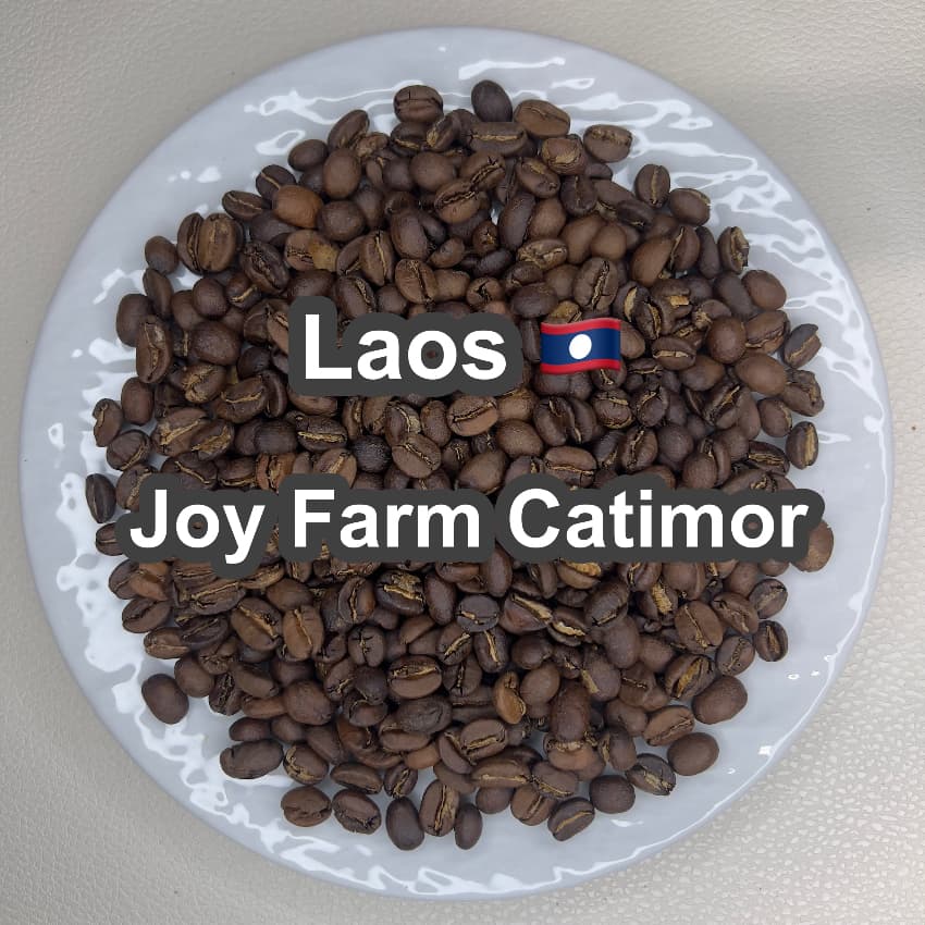 Laos Joy Farm Catimor（ラオス ジョイ農園 カティモール）100g【受注焙煎・自家焙煎コーヒー豆】【甘みと酸味のバランスが良い】