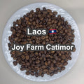 Laos Joy Farm Catimor（ラオス ジョイ農園 カティモール）100g【受注焙煎・自家焙煎コーヒー豆】【甘みと酸味のバランスが良い】