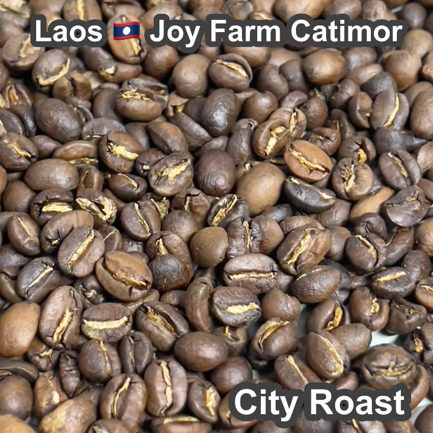 Laos Joy Farm Catimor（ラオス ジョイ農園 カティモール）100g【受注焙煎・自家焙煎コーヒー豆】【甘みと酸味のバランスが良い】