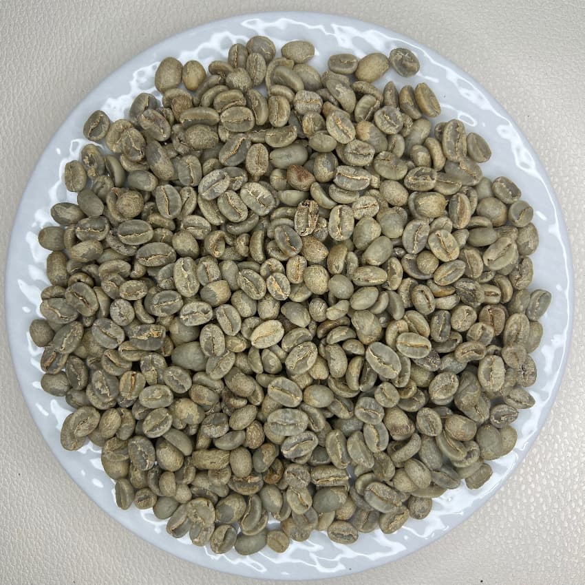 Mexico Chiapas Sesmatch Wash SHG（ メキシコ チアパス セスマッチ ウォッシュ SHG ）100g 【受注焙煎・自家焙煎コーヒー豆】【ほろ苦さのキレと甘味のバランス】