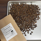 Guatemala New Oriente Geisha Wash SHB（グアテマラ ニューオリエンテ ゲイシャ ウォッシュ SHB）100g【受注焙煎・自家焙煎コーヒー豆】【柑橘のやさしい風味と、リンゴ酸系の酸味】