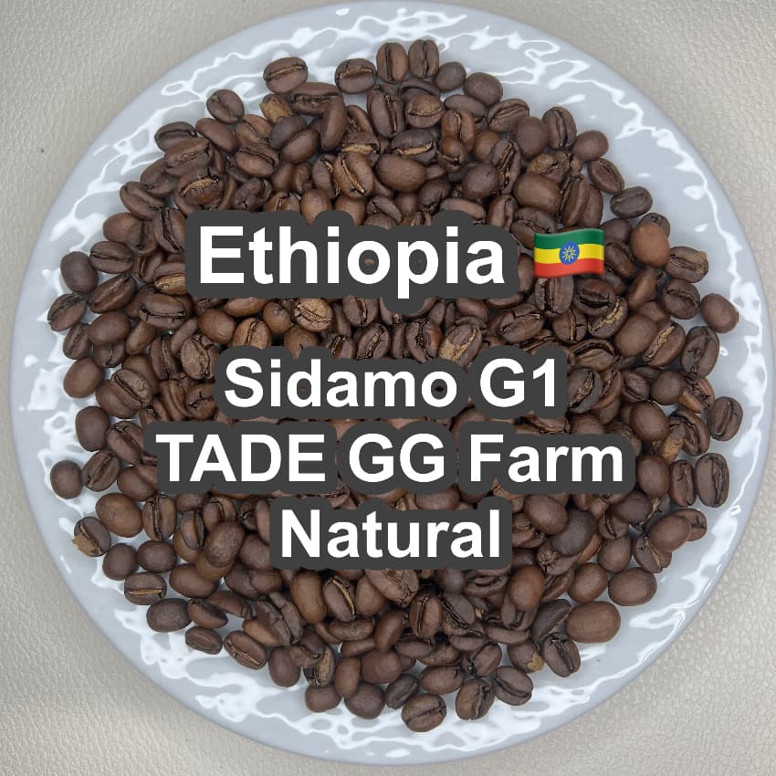 Ethiopia Sidamo G1 TADE GG Farm Natural（エチオピア シダモG1 タデGG農園 ナチュラル）100g【受注焙煎・自家焙煎コーヒー豆】【ラズベリーを感じさせる甘い香り】