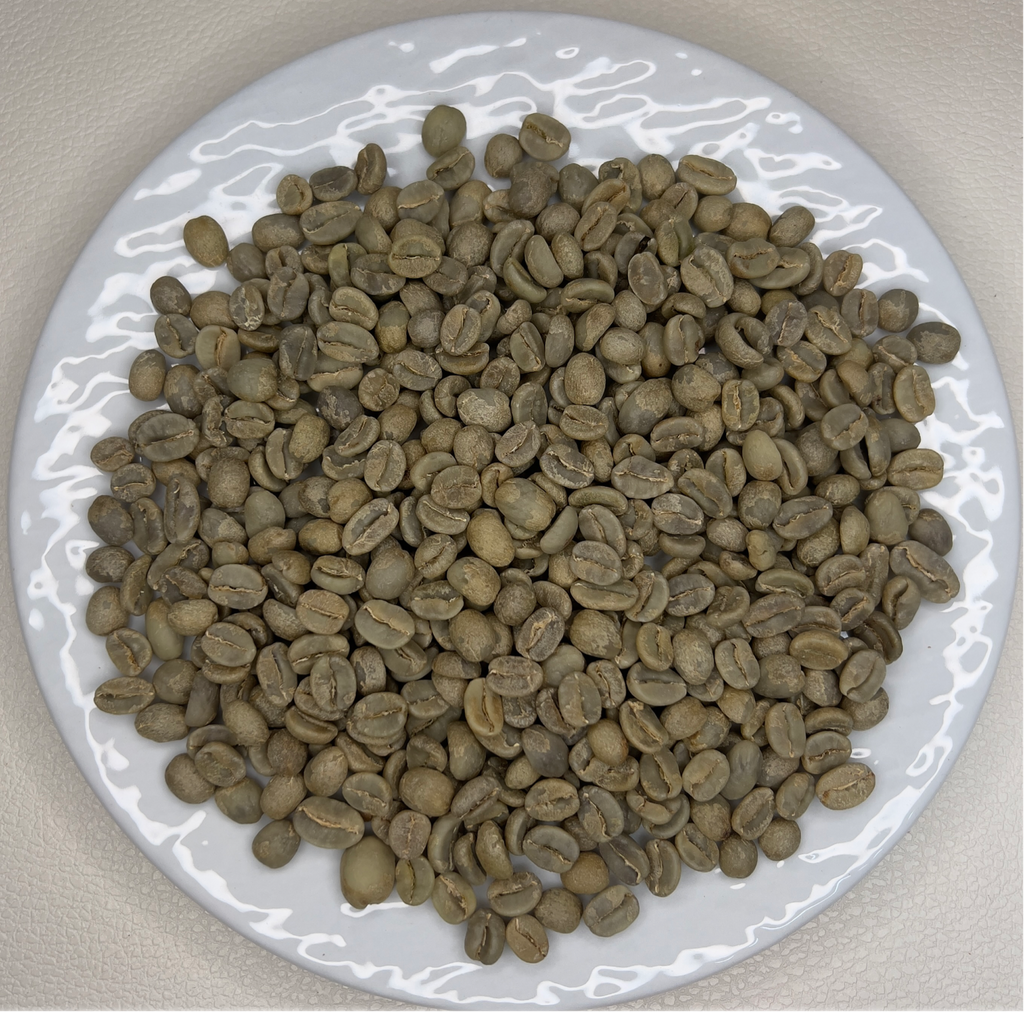 Nicaragua SHG（ニカラグア SHG）100g【受注焙煎・自家焙煎コーヒー豆】【フルーティーな香りとすっきりした酸味】