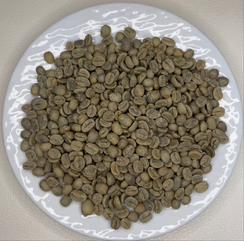 Nicaragua SHG（ニカラグア SHG）100g【受注焙煎・自家焙煎コーヒー豆】【フルーティーな香りとすっきりした酸味】