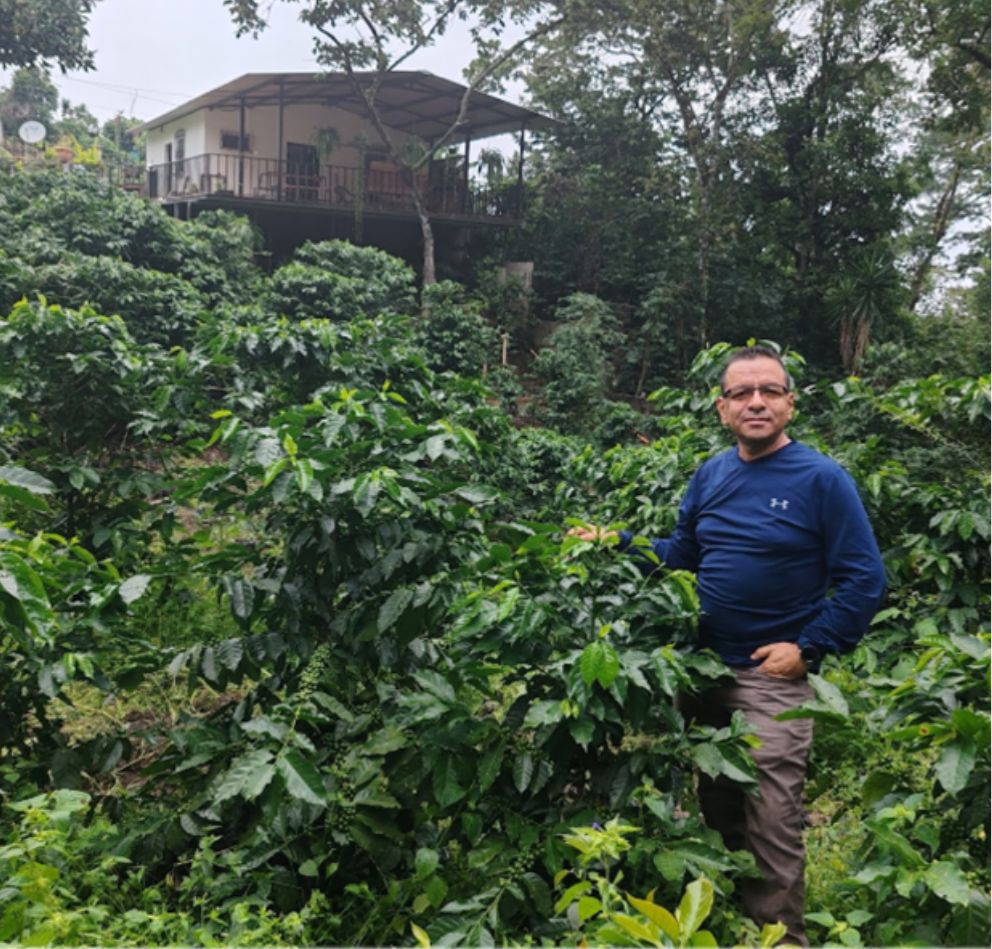 Guatemala Maragogype Copan（ グアテマラ マラゴジッペ コバン）100g【受注焙煎・自家焙煎コーヒー豆】【爽やかな酸味と深いコク】