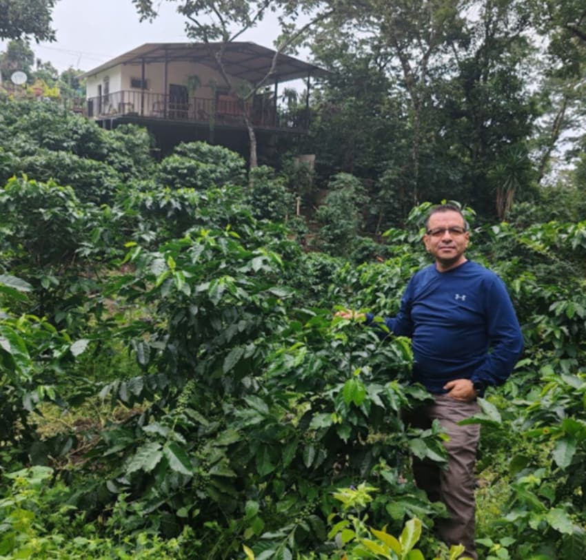 Guatemala Maragogype Copan（ グアテマラ マラゴジッペ コバン）100g【受注焙煎・自家焙煎コーヒー豆】【爽やかな酸味と深いコク】