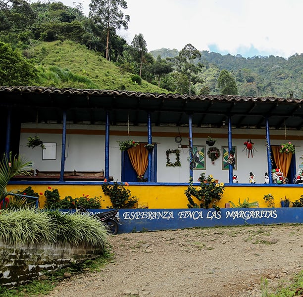 Colombia CGLE Las Margaritas Farm Excelso（コロンビア CGLE ラス・マルガリータス農園 エクセルソ）100g【受注焙煎・自家焙煎コーヒー豆】【苦味と酸味のバランス良い・イエローブルボン】