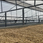 Panama Boquete El Palomar Farm Geisha Natural（パナマ ボケテ エル パロマール農園 ゲイシャ ナチュラル）100g【受注焙煎・自家焙煎コーヒー豆】【繊細なジャスミンの香りと甘く力強いフルーツフレーバー】