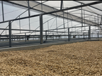 Panama Boquete El Palomar Farm Geisha Natural（パナマ ボケテ エル パロマール農園 ゲイシャ ナチュラル）100g【受注焙煎・自家焙煎コーヒー豆】【繊細なジャスミンの香りと甘く力強いフルーツフレーバー】