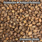 Guatemala Antigua Peaberry（グアテマラ アンティグア ピーベリー）100g【受注焙煎・自家焙煎コーヒー豆】【爽やかな酸味と深いコク】