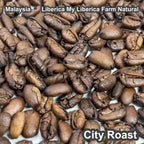 Malaysia Liberica My Liberica Farm Natural（マレーシア リベリカ マイリベリカ農園 ナチュラル）100g【受注焙煎・自家焙煎コーヒー豆】【独特な風味でスパイシーな苦味】【希少なリベリカ種】