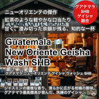 Guatemala New Oriente Geisha Wash SHB（グアテマラ ニューオリエンテ ゲイシャ ウォッシュ SHB）100g【受注焙煎・自家焙煎コーヒー豆】【柑橘のやさしい風味と、リンゴ酸系の酸味】
