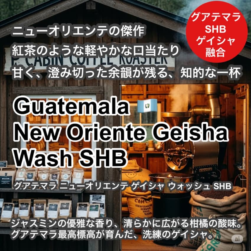 Guatemala New Oriente Geisha Wash SHB（グアテマラ ニューオリエンテ ゲイシャ ウォッシュ SHB）100g【受注焙煎・自家焙煎コーヒー豆】【柑橘のやさしい風味と、リンゴ酸系の酸味】