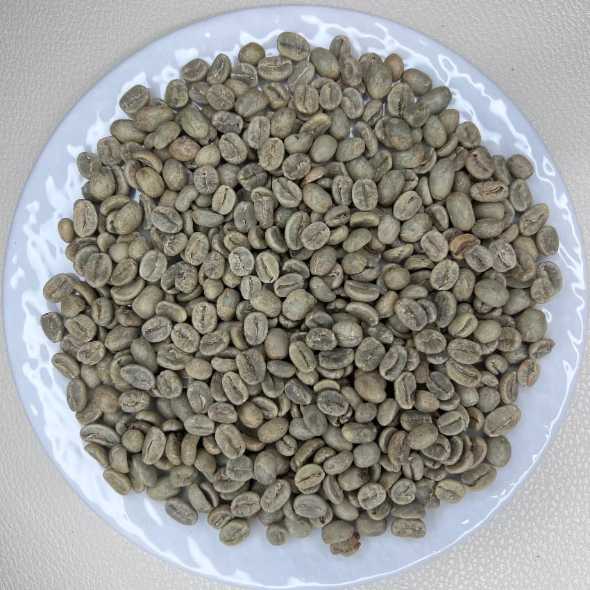 Guatemala Antigua San Francisco Farm Wash SHB（グアテマラ アンティグア サンフランシスコ農園 ウォッシュ SHB）100g【受注焙煎・自家焙煎コーヒー豆】【透き通るようなクリーンさと、とろける蜂蜜の甘い余韻】
