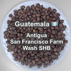 Guatemala Antigua San Francisco Farm Wash SHB（グアテマラ アンティグア サンフランシスコ農園 ウォッシュ SHB）100g【受注焙煎・自家焙煎コーヒー豆】【透き通るようなクリーンさと、とろける蜂蜜の甘い余韻】