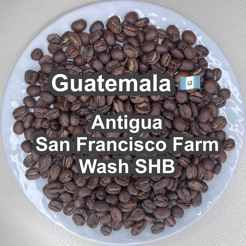 Guatemala Antigua San Francisco Farm Wash SHB（グアテマラ アンティグア サンフランシスコ農園 ウォッシュ SHB）100g【受注焙煎・自家焙煎コーヒー豆】【透き通るようなクリーンさと、とろける蜂蜜の甘い余韻】