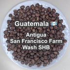 Guatemala Antigua San Francisco Farm Wash SHB（グアテマラ アンティグア サンフランシスコ農園 ウォッシュ SHB）100g【受注焙煎・自家焙煎コーヒー豆】【透き通るようなクリーンさと、とろける蜂蜜の甘い余韻】