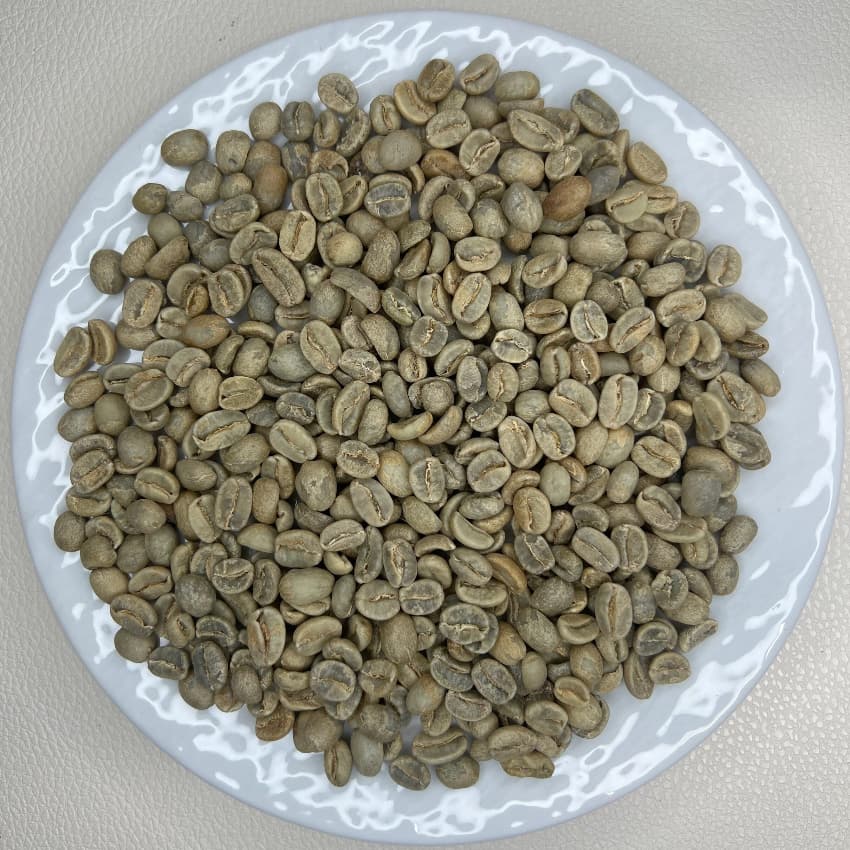 Peru Washed（ペルー ウォッシュド）100g【受注焙煎・自家焙煎コーヒー豆】【マイルドで後味に甘味】